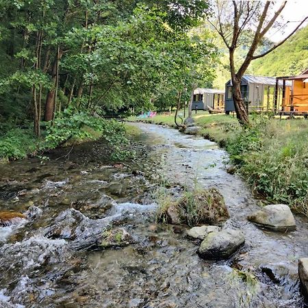 ארפו Transfagarasan River Retreat מראה חיצוני תמונה