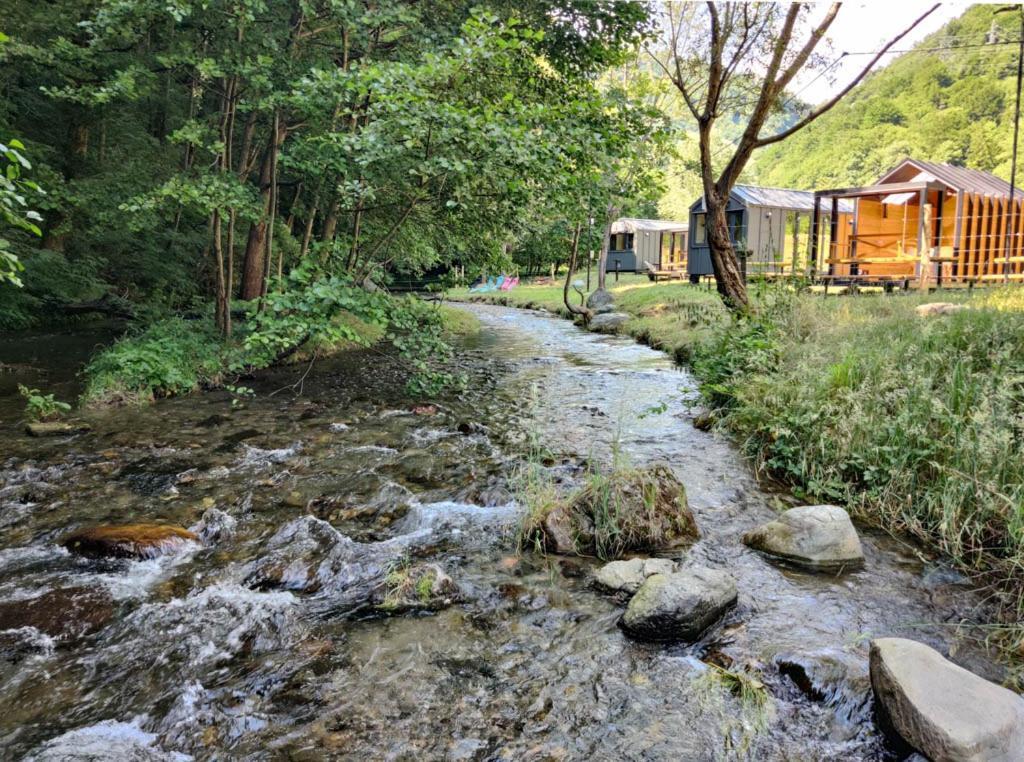 ארפו Transfagarasan River Retreat מראה חיצוני תמונה
